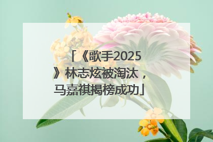 《歌手2025》林志炫被淘汰，马嘉祺揭榜成功