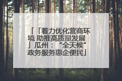「着力优化营商环境 助推高质量发展」瓜州：“全天候”政务服务惠企便民