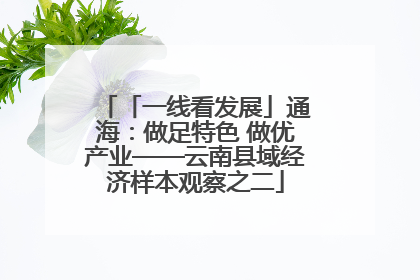 「一线看发展」通海：做足特色 做优产业——云南县域经济样本观察之二