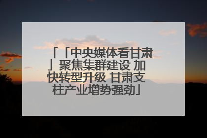 「中央媒体看甘肃」聚焦集群建设 加快转型升级 甘肃支柱产业增势强劲