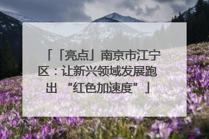 「亮点」南京市江宁区：让新兴领域发展跑出 “红色加速度”