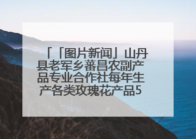 「图片新闻」山丹县老军乡蕃昌农副产品专业合作社每年生产各类玫瑰花产品500多吨