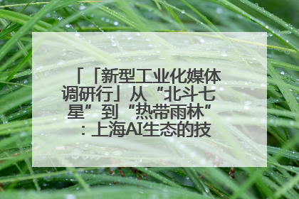 「新型工业化媒体调研行」从“北斗七星”到“热带雨林”：上海AI生态的技术商业共生密码