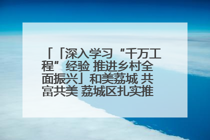 「深入学习“千万工程”经验 推进乡村全面振兴」和美荔城 共富共美 荔城区扎实推进乡村振兴工作