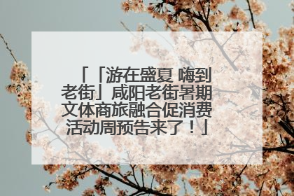 「游在盛夏 嗨到老街」咸阳老街暑期文体商旅融合促消费活动周预告来了！