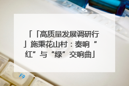「高质量发展调研行」施秉花山村：奏响“红”与“绿”交响曲
