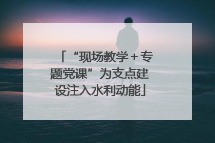 “现场教学＋专题党课”为支点建设注入水利动能