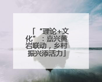“理论+文化”：嘉兴黄岩联动，乡村振兴添活力