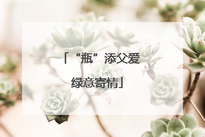 “瓶”添父爱 绿意寄情