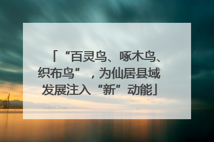 “百灵鸟、啄木鸟、织布鸟”，为仙居县域发展注入“新”动能