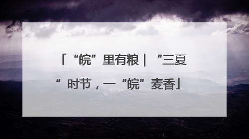 “皖”里有粮｜“三夏”时节，一“皖”麦香
