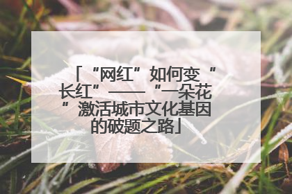 “网红”如何变“长红”——“一朵花”激活城市文化基因的破题之路