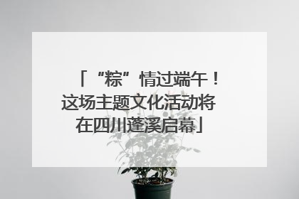 “粽”情过端午！这场主题文化活动将在四川蓬溪启幕