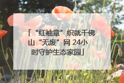 “红袖章”织就千佛山“无废”网 24小时守护生态家园