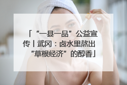 “一县一品”公益宣传丨武冈：卤水里熬出“草根经济”的醇香
