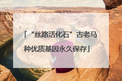“丝路活化石”古老马种优质基因永久保存