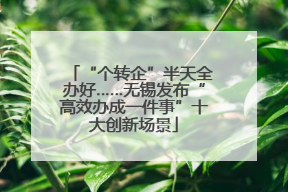 “个转企”半天全办好……无锡发布“高效办成一件事”十大创新场景