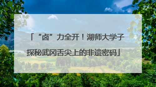 “卤”力全开！湖师大学子探秘武冈舌尖上的非遗密码