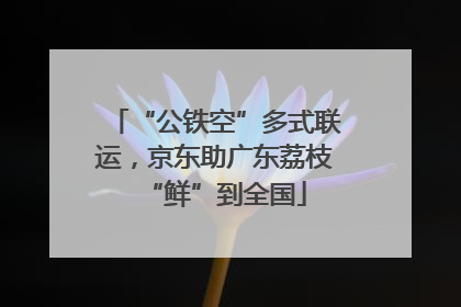 “公铁空”多式联运，京东助广东荔枝“鲜”到全国