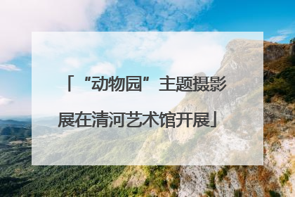 “动物园”主题摄影展在清河艺术馆开展