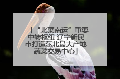 “北菜南运”重要中转枢纽 辽宁新民市打造东北最大产地蔬菜交易中心