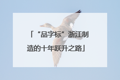 “品字标”浙江制造的十年跃升之路