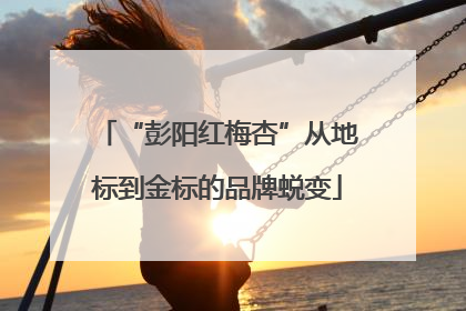 “彭阳红梅杏”从地标到金标的品牌蜕变