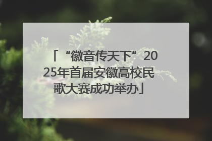 “徽音传天下”2025年首届安徽高校民歌大赛成功举办