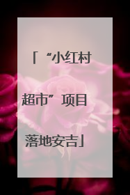 “小红村超市”项目落地安吉