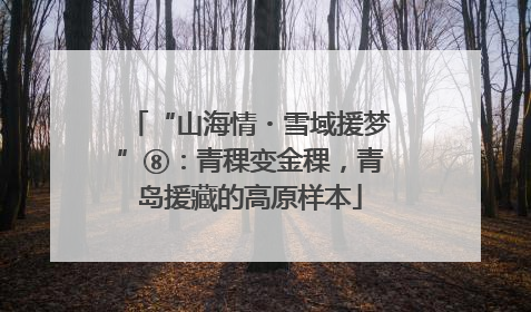 “山海情・雪域援梦”⑧：青稞变金稞，青岛援藏的高原样本