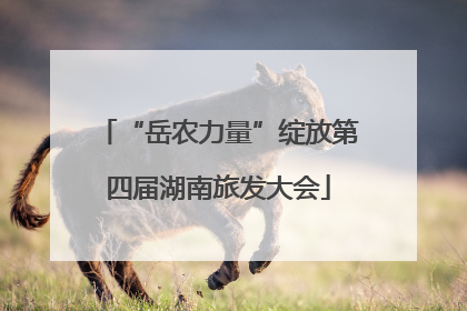 “岳农力量”绽放第四届湖南旅发大会