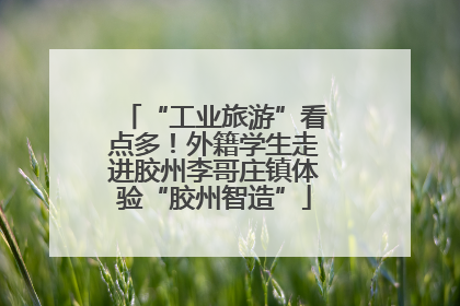 “工业旅游”看点多！外籍学生走进胶州李哥庄镇体验“胶州智造”