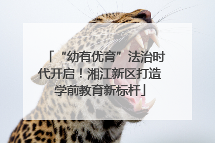 “幼有优育”法治时代开启！湘江新区打造学前教育新标杆