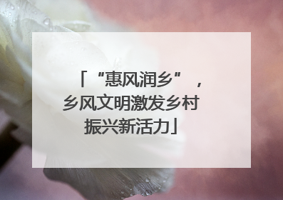 “惠风润乡”，乡风文明激发乡村振兴新活力