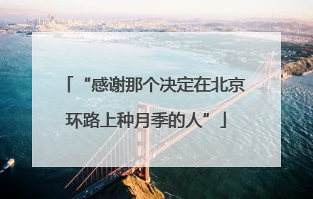 “感谢那个决定在北京环路上种月季的人”