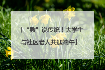 “数”说传统！大学生与社区老人共迎端午