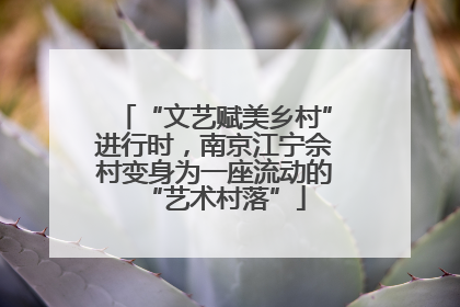 “文艺赋美乡村”进行时，南京江宁佘村变身为一座流动的“艺术村落”