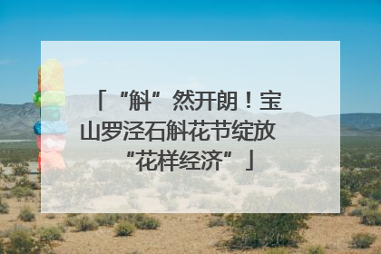 “斛”然开朗！宝山罗泾石斛花节绽放“花样经济”