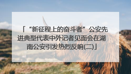 “新征程上的奋斗者”公安先进典型代表中外记者见面会在湖南公安引发热烈反响(二)