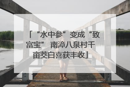 “水中参”变成“致富宝” 南漳八泉村千亩茭白喜获丰收