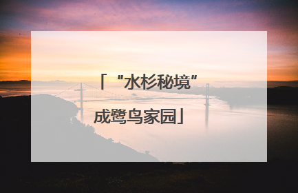 “水杉秘境”成鹭鸟家园