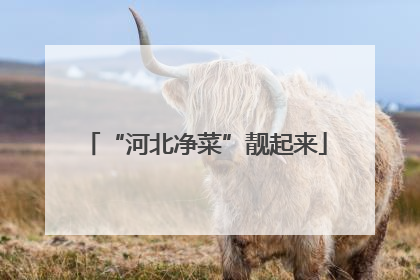 “河北净菜”靓起来