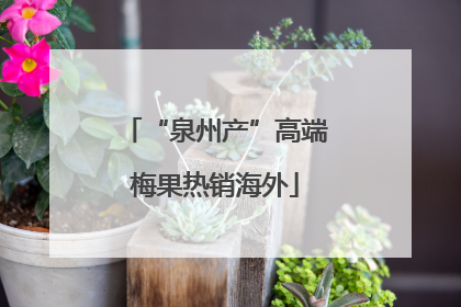 “泉州产”高端梅果热销海外