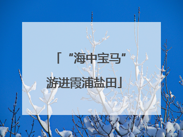 “海中宝马”游进霞浦盐田