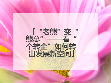 “老熊”变“熊总”——看“个转企”如何转出发展新空间
