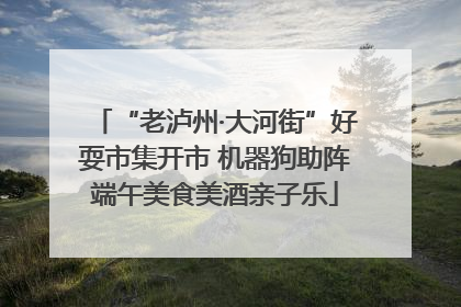 “老泸州·大河街”好耍市集开市 机器狗助阵端午美食美酒亲子乐