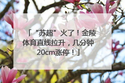 “苏超”火了！金陵体育直线拉升，几分钟20cm涨停！