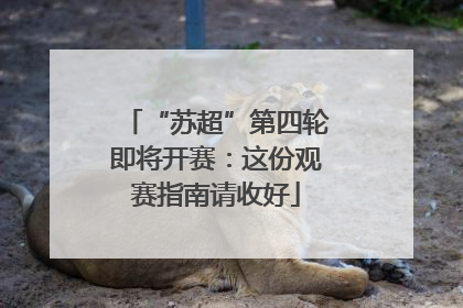 “苏超”第四轮即将开赛：这份观赛指南请收好