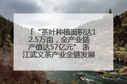“茶叶种植面积达12.5万亩，全产业链产值达57亿元” 浙江武义茶产业全链发展“加速度”