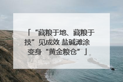 “藏粮于地、藏粮于技”见成效 盐碱滩涂变身“黄金粮仓”